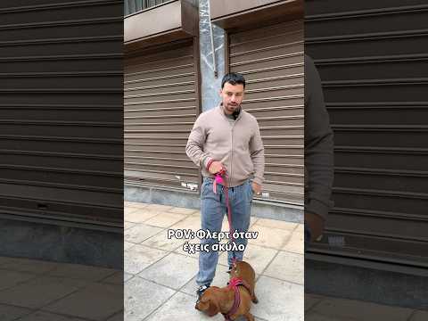 Φλερτ με σκύλος vs Χωρίς