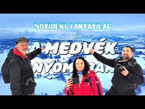 A MEDVÉK nyomában, NAGY hóban, a sóvidéki tanyavilágban | Békástanya és Súgó-patak völgye