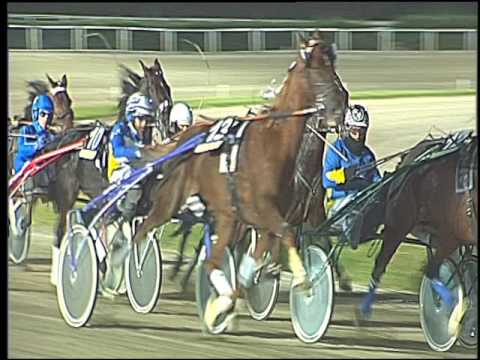 Trotto 28/10/2016 - 8ª corsa