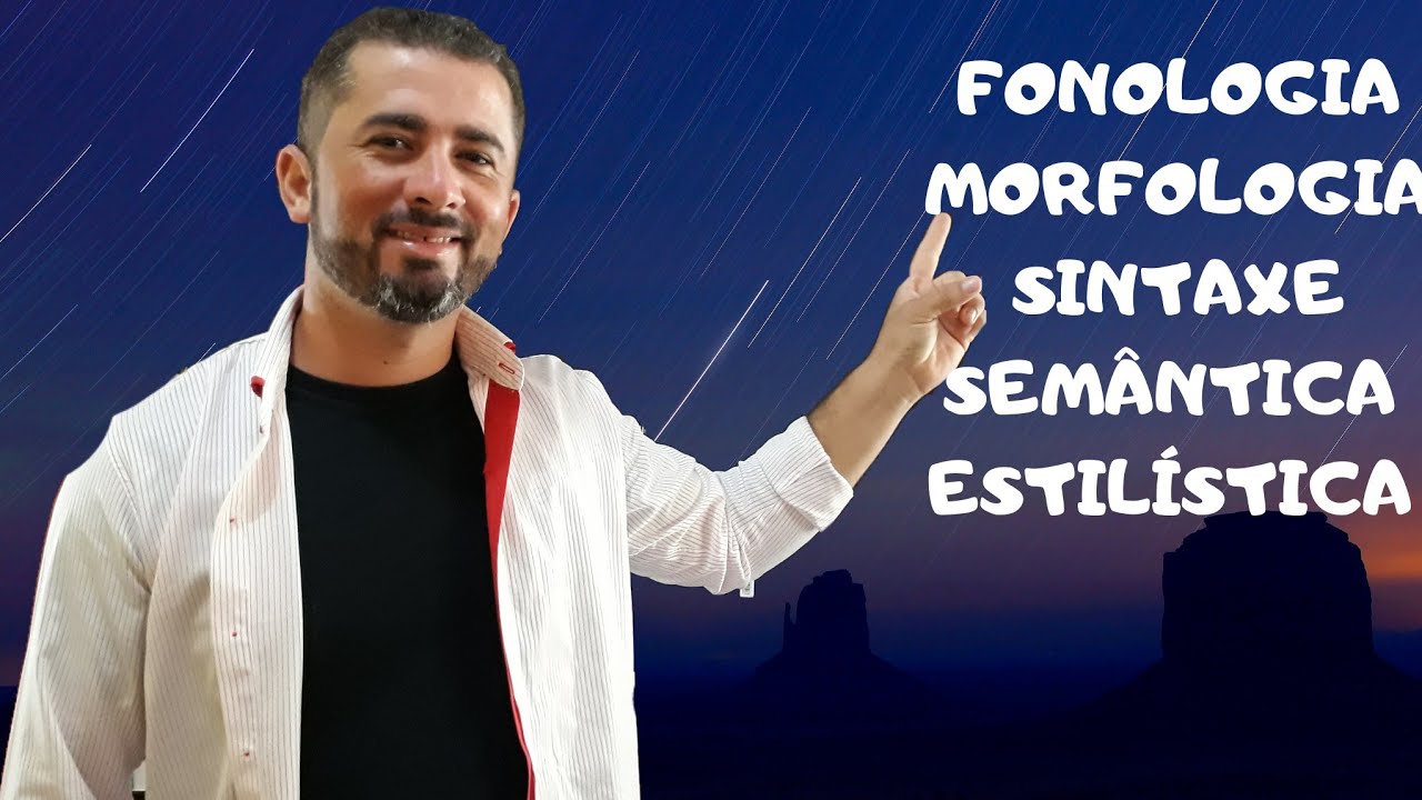 GRAMÁTICA: FONOLOGIA, MORFOLOGIA, SINTAXE, SEMÂNTICA E ESTILÍSTICA