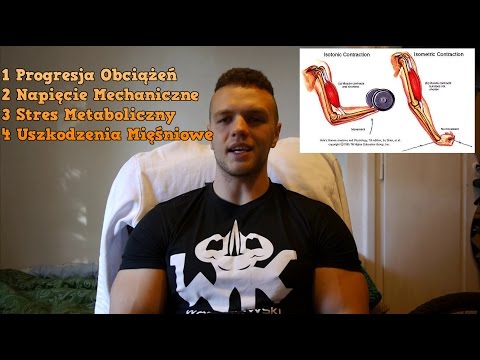 Spastyczność mięśni, że jest u niemowląt Mięsień równoległoboczny ćwiczeń z powrotem w domu