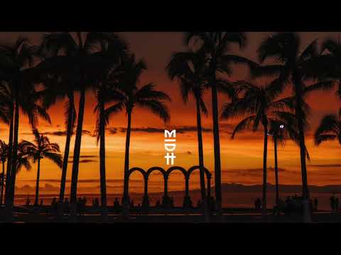 Wheeler del Torro Feat. Nuzu Deep - I Want to Try Again (FNX Omar Remix) MIDH Premiere