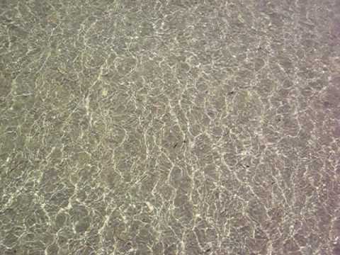 Alba,Alessandro,Luca Pioltelli ,Miami