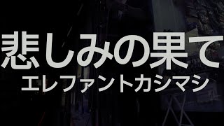 悲しみの果て/エレファントカシマシ[ギター弾き語り cover]