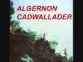 algernon cadwallader - fun 7" 