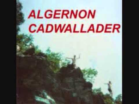 algernon cadwallader - fun 7