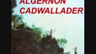 algernon cadwallader - fun 7
