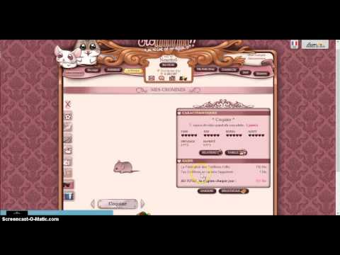 comment gagner experience cromimi