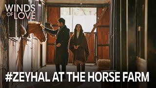 Download lagu Halil, Zeynep'in hayallerinin peşinde | Rüzgarlı Tepe 201. Bölüm mp3 Download lagu Halil, Zeynep'in hayallerinin peşinde | Rüzgarlı Tepe 201. Bölüm mp3