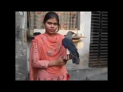 De Onde Ostepops - Computermusik (TheMovie)