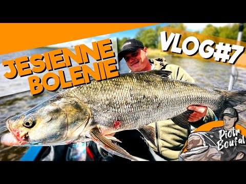 Learning to fish for asp with Gajda / Autumn asp from the Odra River - VLOG#7