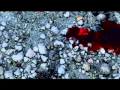 Drowning Your Mother Death Before Dying
