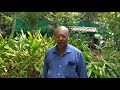 Valittezhuthiya Song By K S Satheesan