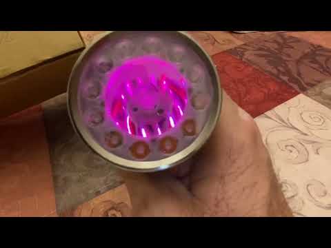 WHITE NOCTIGON DM1.12