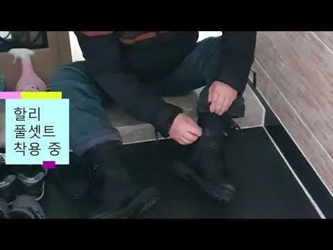 Harley Davidson Super Low 할리 슈퍼로우