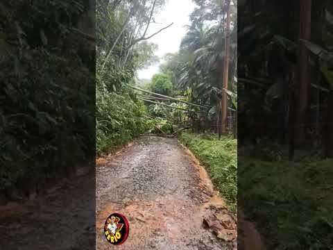 MORADORES DA RUA EDUARDO SOARES GAMA ISOLADOS .