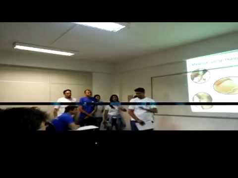 Segurança do Trabalho - Turma TST4/15N - Literatus - Manaus