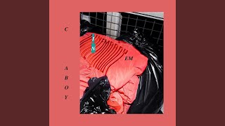 We are the wild ones