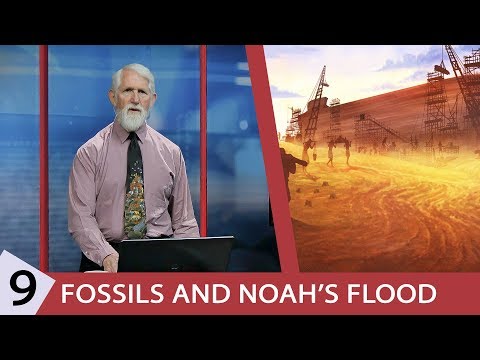 9. Fossils & Noah's Flood
