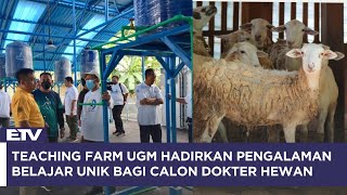 Download lagu Kandang Pembelajaran UGM Hadirkan Pengalaman Unik bagi Mahasiswa dan Masyarakat mp3