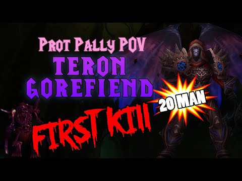 Teron Gorefiend Prot Paladin POV 20 Man First Kill - TBC Classic