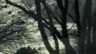 Dandy Warhols Sleep Music Video