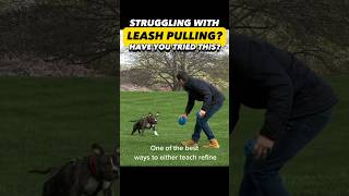 Battling Leash Pulling? Have You Tried This? #dogtraining #dogtrainer #dogtraining101 #pet