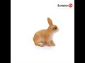 Schleich figūrėlė Triušis