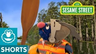 Sesame Street: Grover Helps Piggies Up Creek (Super Grover 2.0)