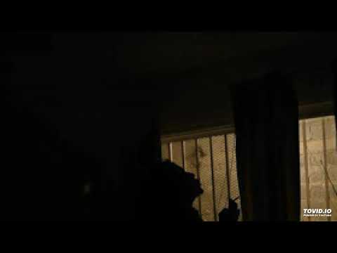 Los vasos deben ser mejor refugio