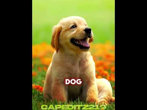 Verses and Their Strongest Characters ( Part 26 ) #shorts