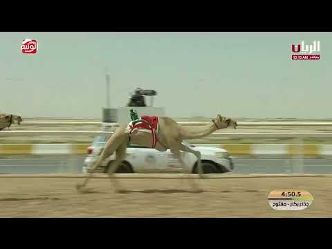 ش 29 (امبشره) لـ سعيد مبارك بن سبت الخييلي 9:18:47  ، مهرجان ختامي الشحانية 2026/04/22 إيذاع