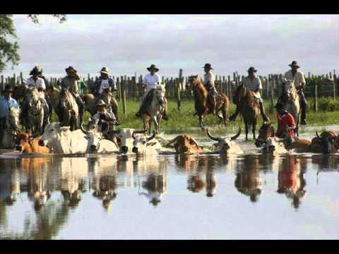 FG No Hay Tierra Como Mi Llano - Ramón Emilio Flores.