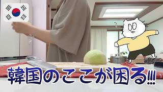 【日韓夫婦】 アレのせいで生活が厳しいです