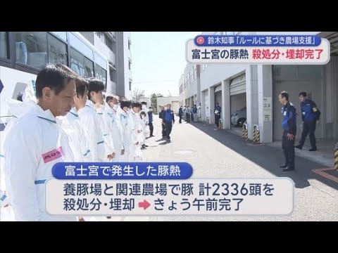 YouTube Video 豚2200頭の殺処分・埋却が完了　「人には感染しない」冷静な対応呼びかけ　静岡・富士宮市で豚熱発生