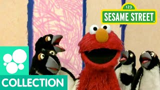 Sesame Street: Elmo's World: Penguins