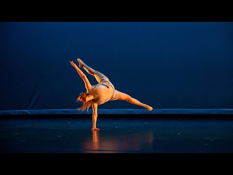 The Forest Awakens - Self Study Solo SP2023