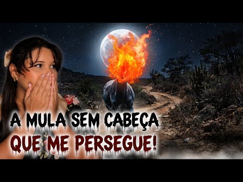 RELATO REAL: A MISTÉRIOSA MULA SEM C4B3ÇA DO SERTÃO.