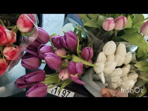 Welcome to Dipannita's lifestyle channel. Flower shopping.