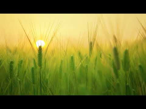 Kevin Kern - Sundial Dreams (Relaxing Music)