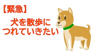 【教えて】犬を散歩につれていきたい【にじさんじ】
