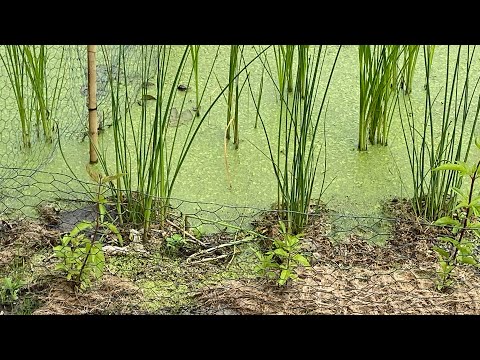 De #WitteVlek op 23 juni 2021