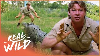 Steve Irwin Face Crocodiles Down Under (Wildlife Documentary) | Crocs Down Under | Real Wild