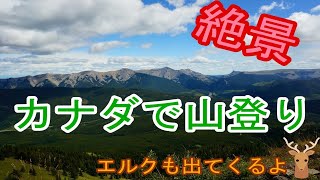 カナディアンロッキーで山登り　360°絶景のRaspberry Ridge Lookout