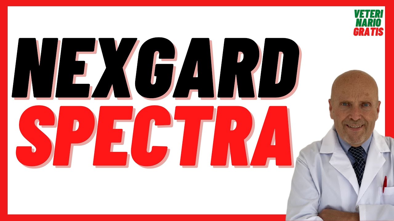 NEXGARD SPECTRA, Afoxolaner + Milbemicina Precio 🔴 136, 68, 28 mg para Perros con Pulgas, Garrapatas