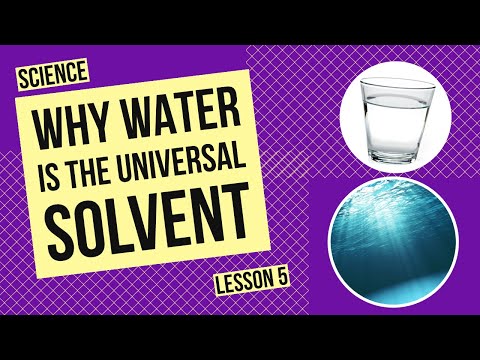 Why Water is the Universal Solvent: The Science Behind Water’s Dissolving Power