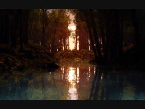 vasile micula  O OAIA MEA