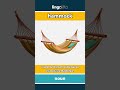 hammock - a swinging bed made of... video thumbnail