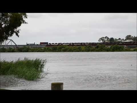 Pacific National 4YN2 NR66 NR36 NR78 14/12/22 diverted because of floods in NSW at Murray Bridge SA