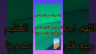ربنا اغفر لنا ذنوبنا من سورة التوبة #explore #quran #اكسبلور #القرآن_الكريم #youtubeshorts